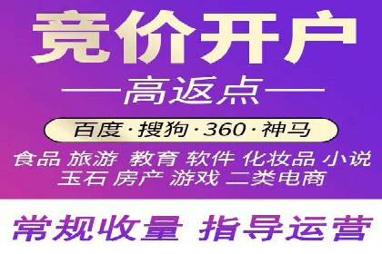 推广竞价策略优化：借鉴成功案例实现高效转化